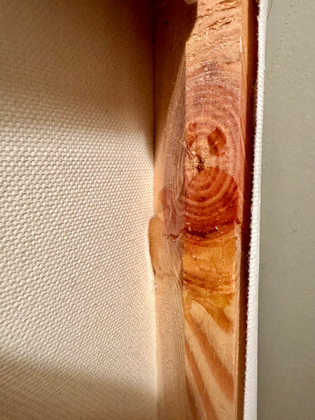 Behind the Garden Shed (Tui 1)